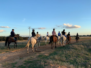 La Magia Del Caballo