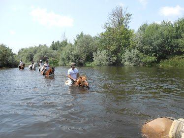 Los Caballos De La Ribera