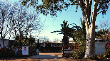 Club Ecuestre Catarroja - Montar A Caballo En Valencia - Pupilaje De Caballos En Valencia