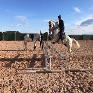 Field And Horse