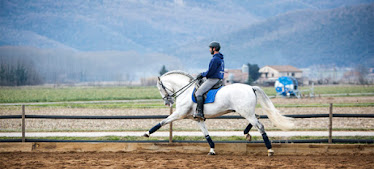 Centre Equestre La Vall