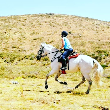 Jerebeque Trails