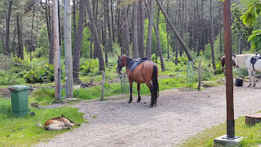 Aventuras a caballo