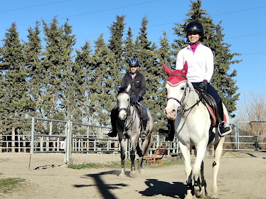 Centro Hipico Los Guarales