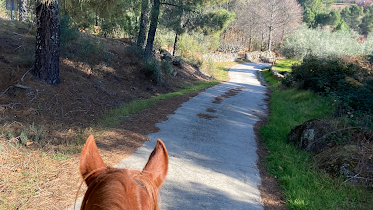 Rutas A Caballo En Gredos