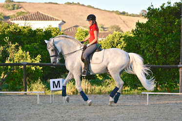 Dressage Sotogrande