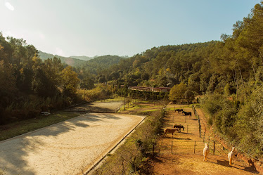 Centre Equestre Can Nicolau