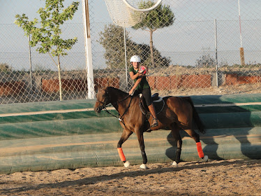 Center Equestre Green Bay