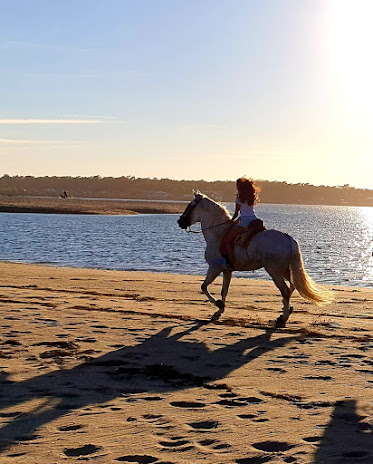 Rutas A Caballo - Picadero Taurino El Encuentro