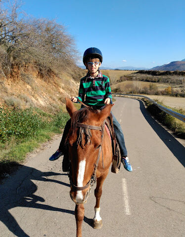 Caballos Pirineos - Club Hipico Rio Aragon