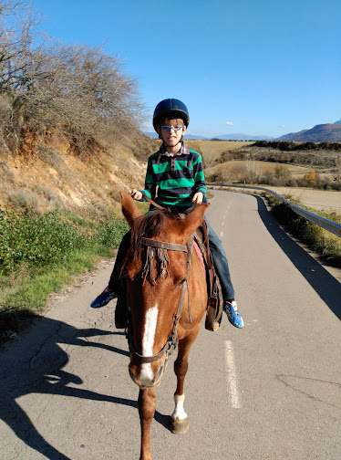 Caballos Pirineos - Club Hipico Rio Aragon