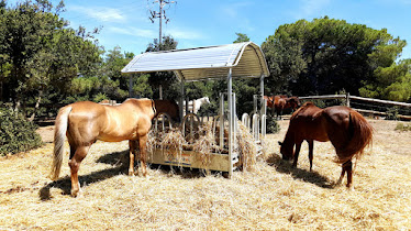 La Corona Residencia Equina