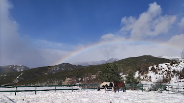 Bed Villanovilla And Horses Pyrenees