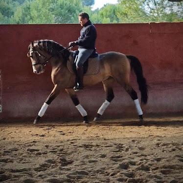 Centro Ecuestre Basilio Mateo