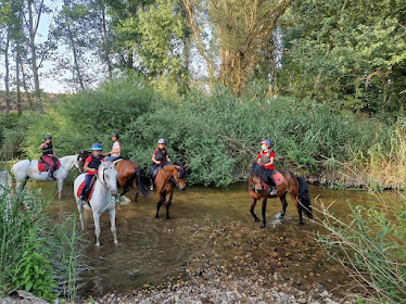 Cañamal De Ponyschool