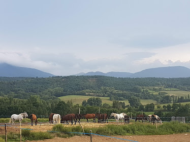 Cavalls De Cerdanya