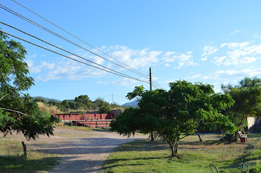 Centro Hipico Equilive