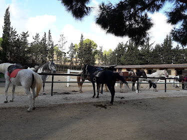 Club Hipica Julivert Rutes A Cavall