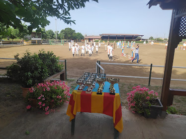 Escuela De Equitacion Poni Club Castellon