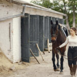 ¿Qué es el código REGA?