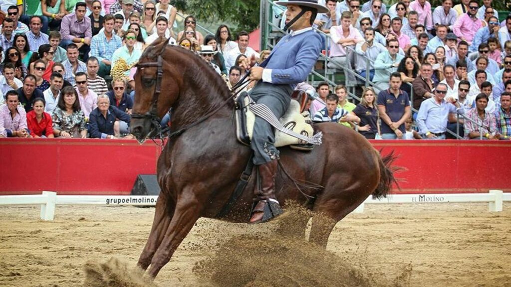 Los 10 consejos indispensables para montar a caballo en la disciplina de doma vaquera