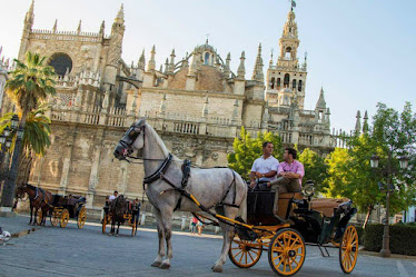 Sevilla De Paseo - Empresa De Paseo Y Alquiler De Coches De Caballos En Sevilla