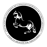 ASOCIACIÓN NACIONAL CRIADORES DE CABALLOS PRE DE ESTIRPE CARTUJANA