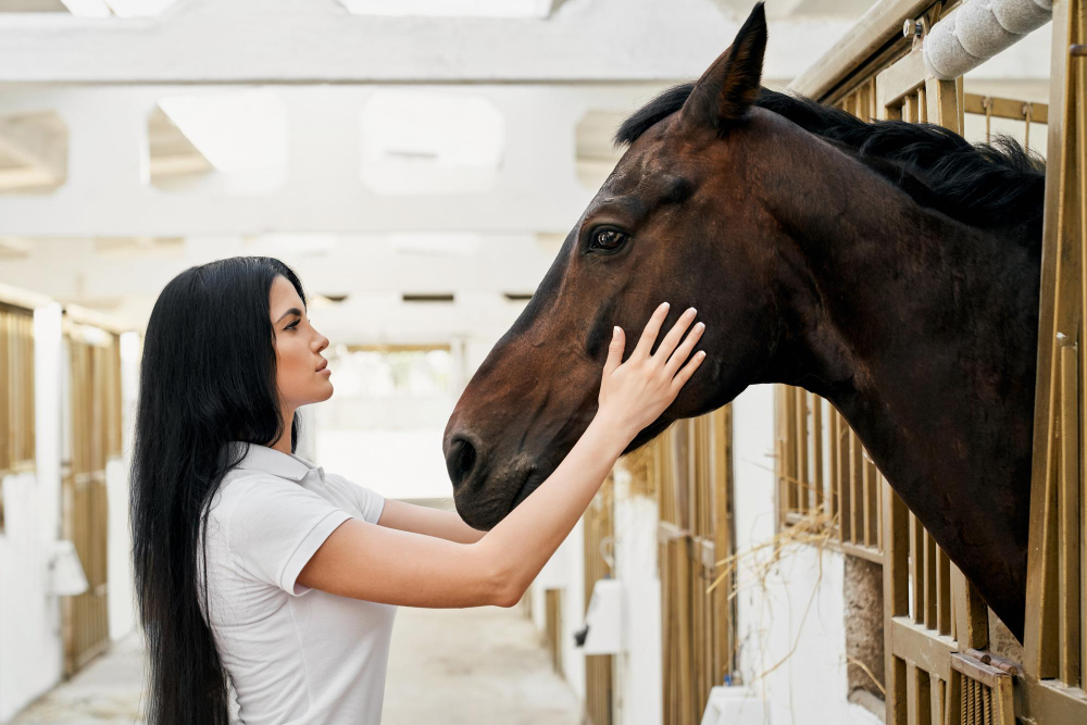 Fisioterapia para Caballos