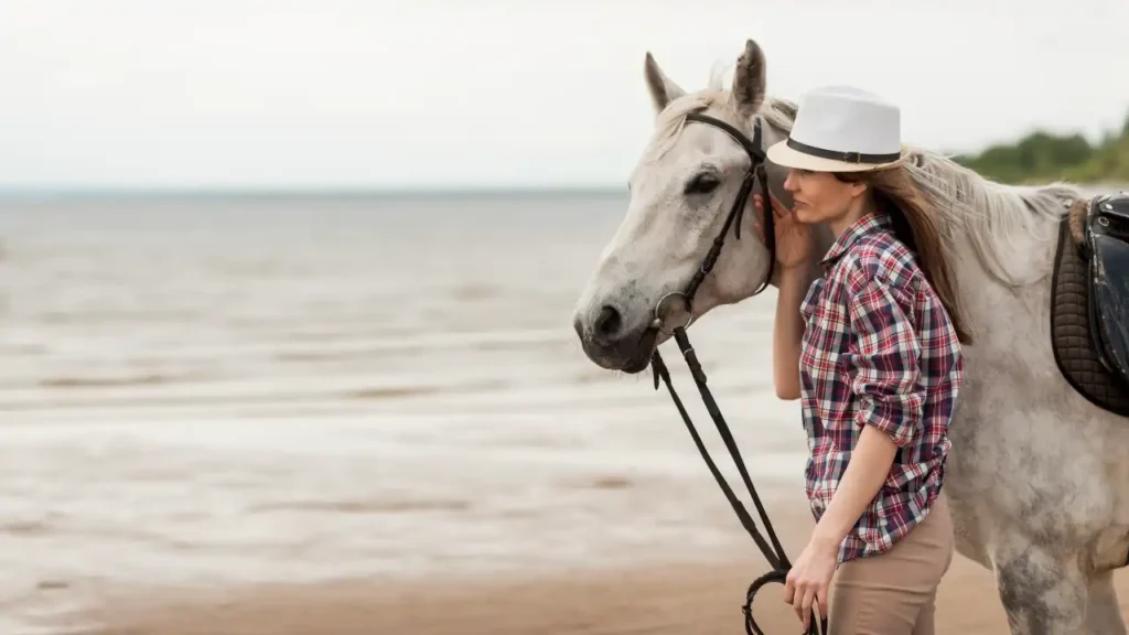 Cuidados del Caballo en Verano: Guía Completa de Protección Solar e Hidratación