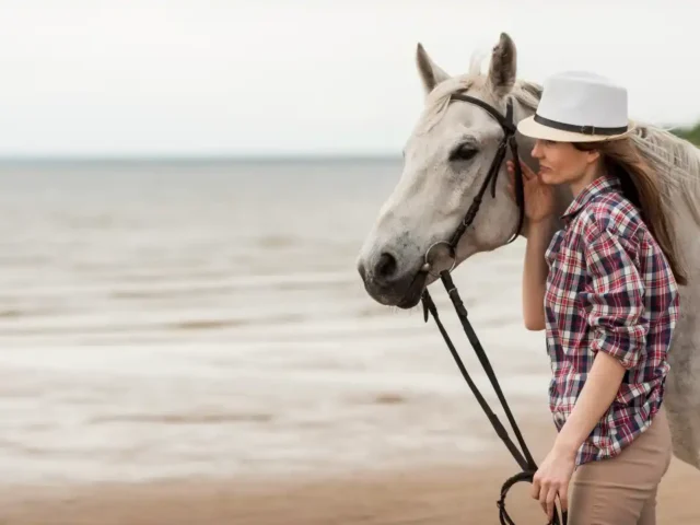 Cuidados del Caballo en Verano: Guía Completa de Protección Solar e Hidratación