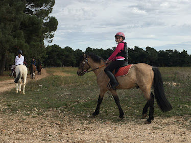 Equestrian Center Miraflores