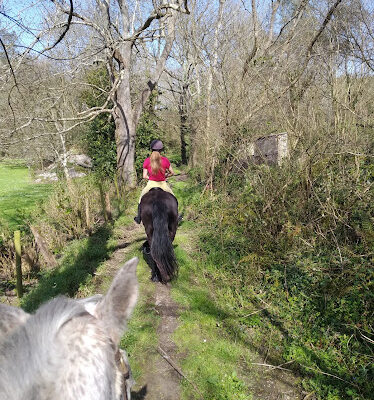 Centro Ecuestre Los Caballucos