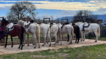 Aventuras Caba eros SL