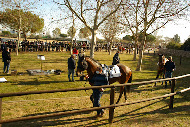 Circuito Hipico Torre d en Dol a