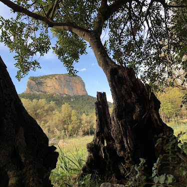 Sa Sort Unboxing Horses