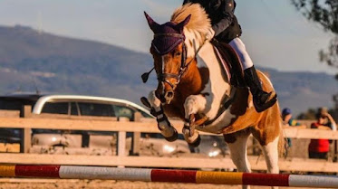 CENTRO ECUESTRE ATLaNTICO – PONTEVEDRA