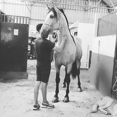 Centro Hipico El Niño de la Vega