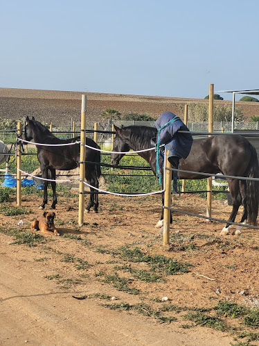 Ganaderia Mi Ilusion