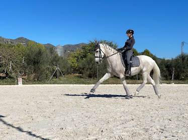 Club Hipic El Benicadell