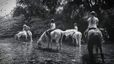 Rutas a caballo Turismo Activo Entre Monta as