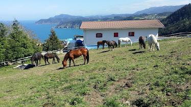 Elantxobeko Zaldixek
