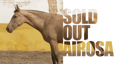 Yeguada Cortijo Albarracin