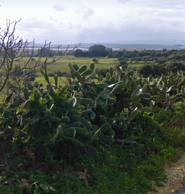 Cercado de marismillas