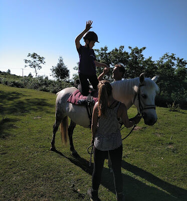 Zaldilaguna Zaldiketa egokitua