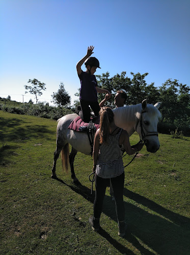 Zaldilaguna Zaldiketa egokitua