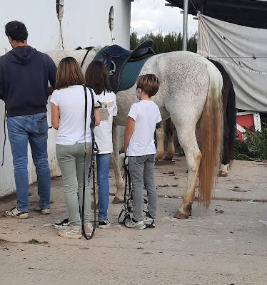 Ardyzan Centro Equestre