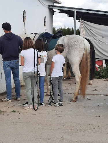 Ardyzan Centro Equestre