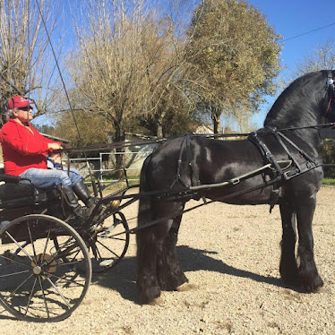 Fernando Souto Alonso