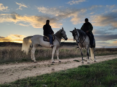 EL DUQUE Espectaculos Ecuestres Escuela de equitacion