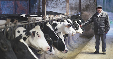 SAT LA CLEMENTINA granja